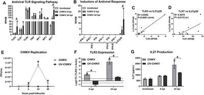 Synergistic Effects of Toll-Like Receptor 1/2 and Toll-Like Receptor 3 Signaling Triggering Interleukin 27 Gene Expression in Chikungunya Virus-Infected Macrophages